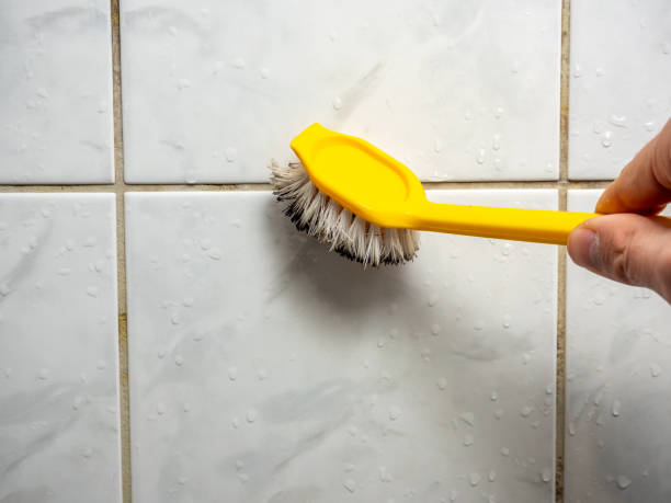 Best Certified Mold Removal  in Troy, MI