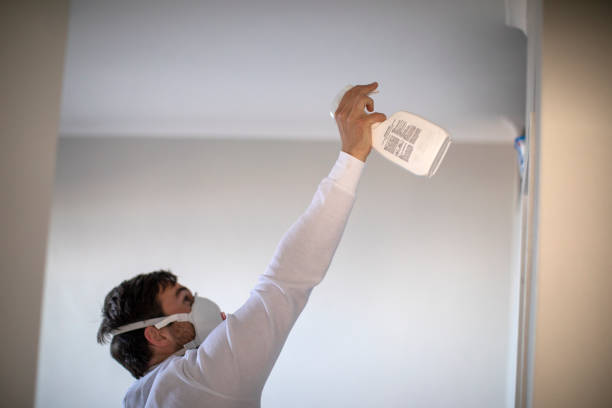 Best Mold Testing  in Troy, MI