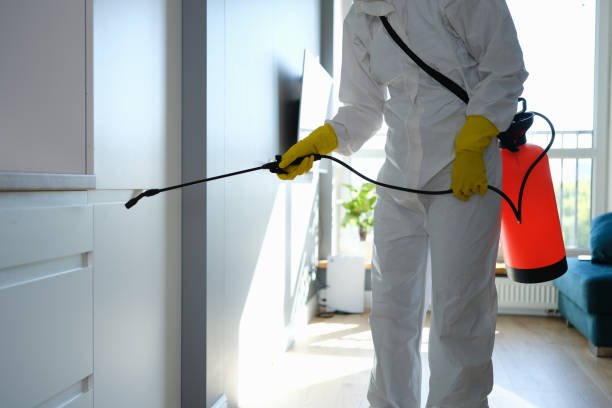 Best Mold Cleaning Services  in Troy, MI