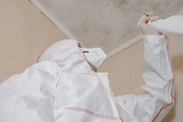 Best Office Mold Removal Services  in Troy, MI