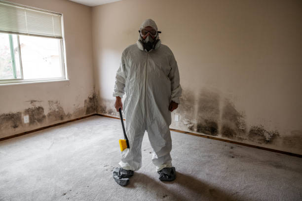 Crawl Space Mold Removal in Troy, MI